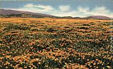 Famous Field Paintings - A Field of Californian Poppies